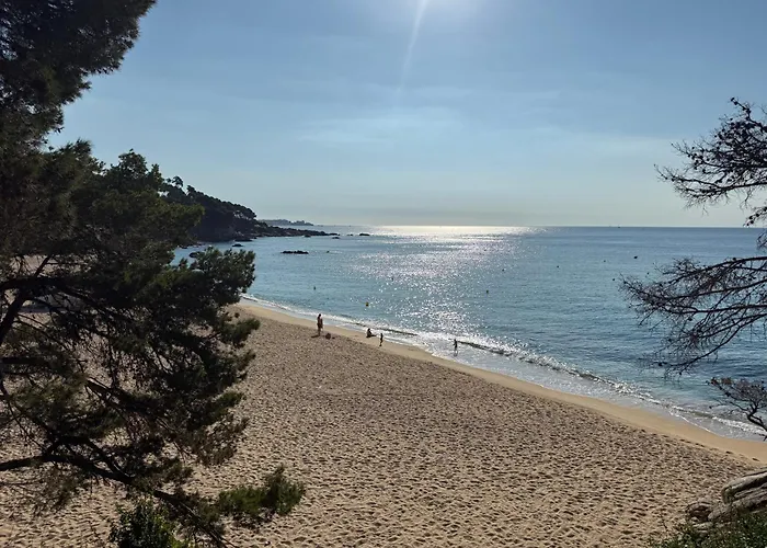 Edificio Lirios Politur *