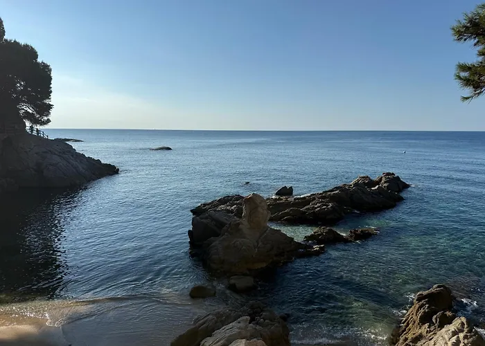 Διαμέρισμα Edificio Lirios Politur