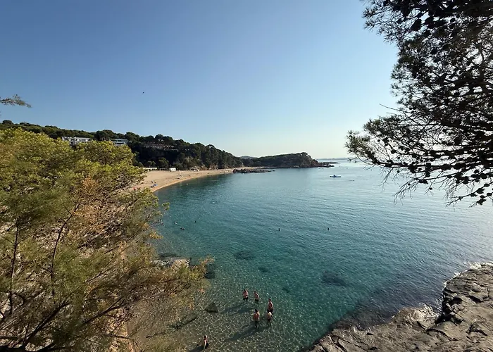 Appartamento Edificio Lirios Politur *
