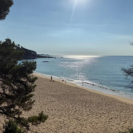 Edificio Lirios Politur *