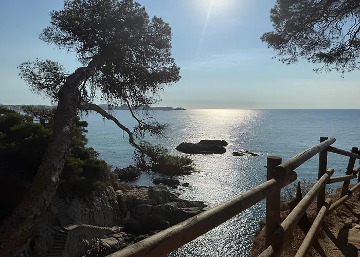 Edificio Lirios Politur Platja d'Aro